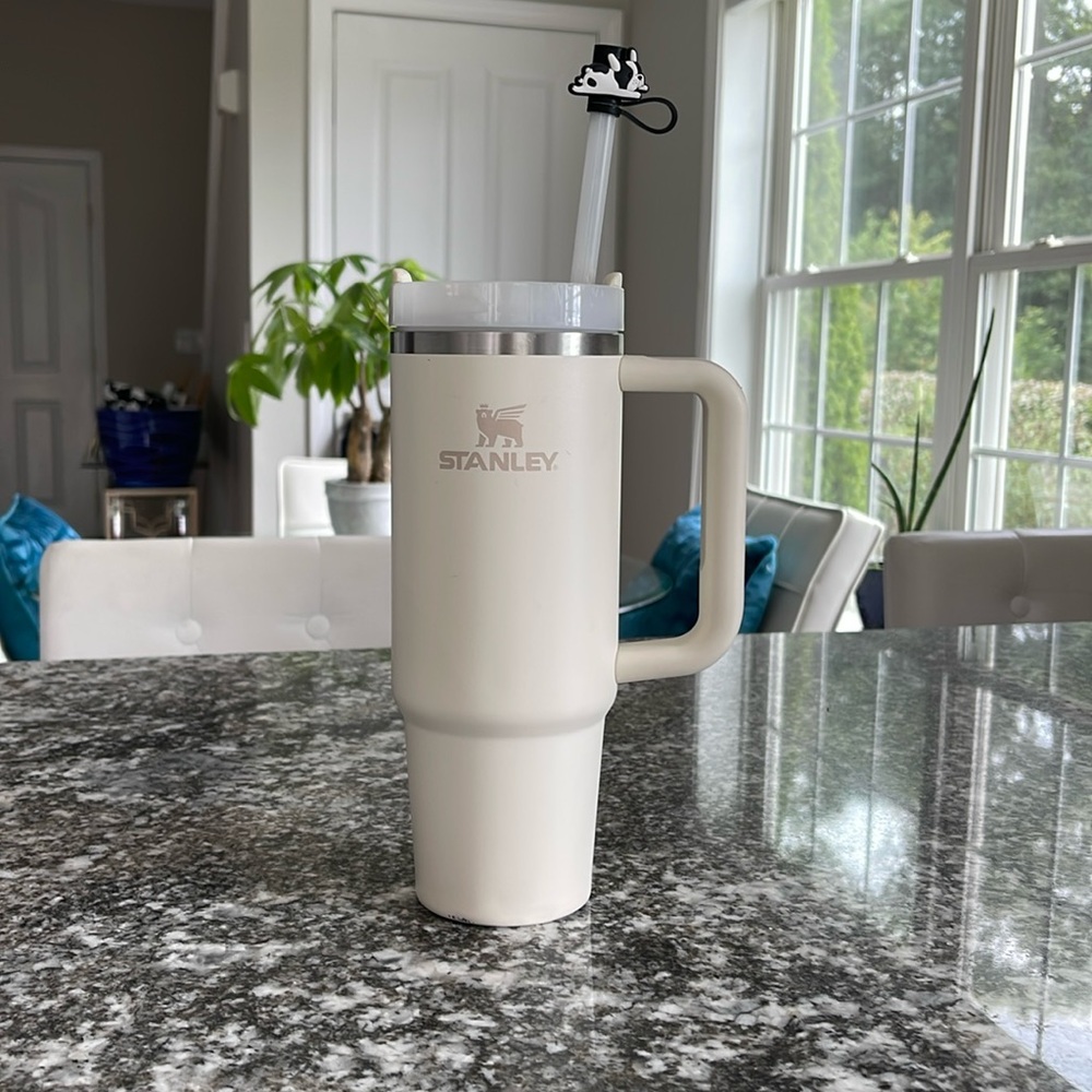 30 oz. Stanley Tumbler Flask Thermos Insulated Cup with Handle Cream Color